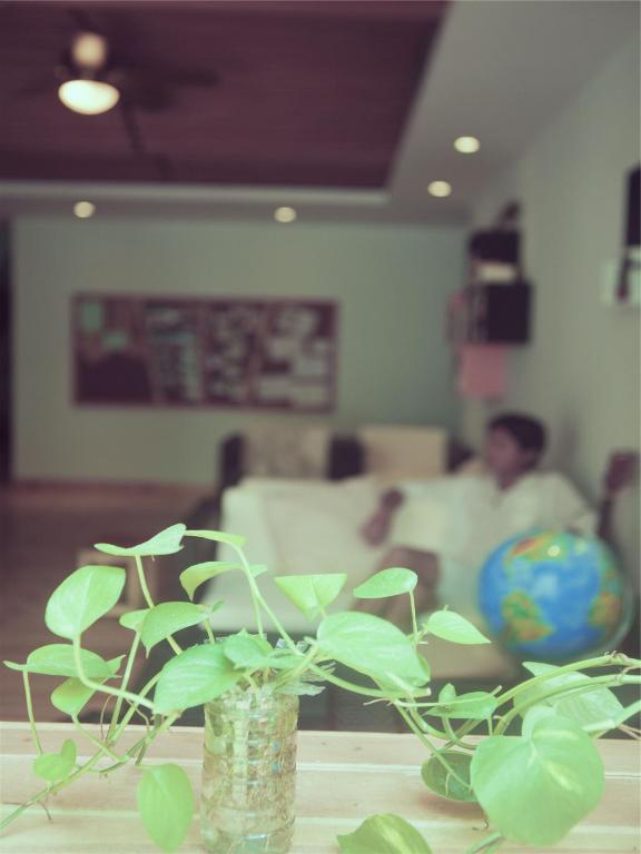 Sanya Bluesky International Youth Hostel Extérieur photo